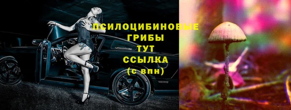 ешки Арсеньев