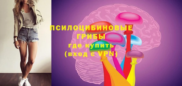 ешки Арсеньев