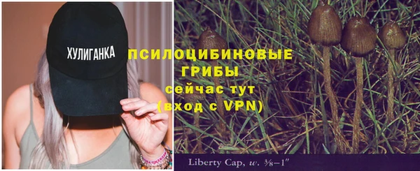 ешки Арсеньев