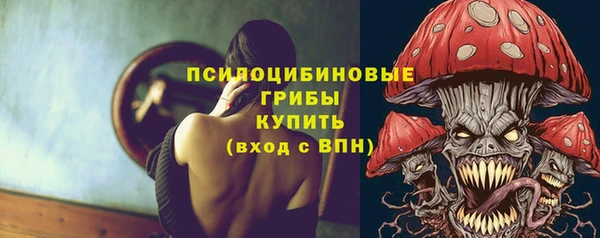 ешки Арсеньев