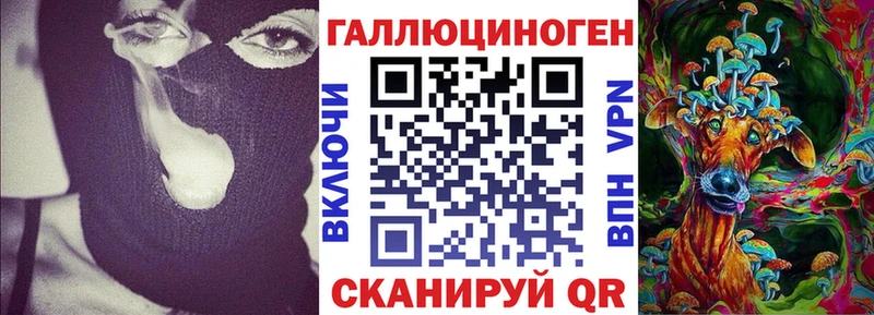 Псилоцибиновые грибы мицелий Мамадыш